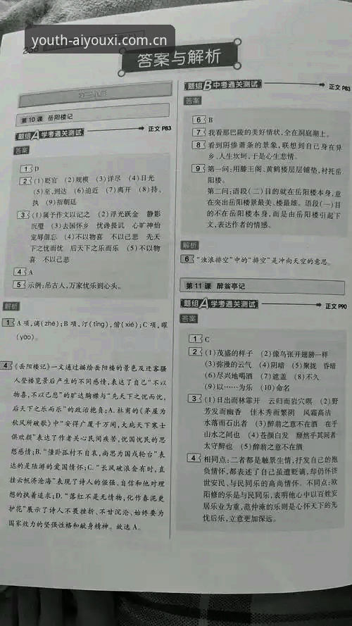 原创新生代主张中文版下载常见问题 原创新生代主张中文版下载常见问题与苹果版体验:理性选择还是盲目跟风?